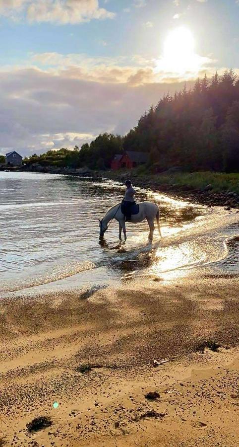 Apartmán Kjorsvik Ovre Tornes Exteriér fotografie