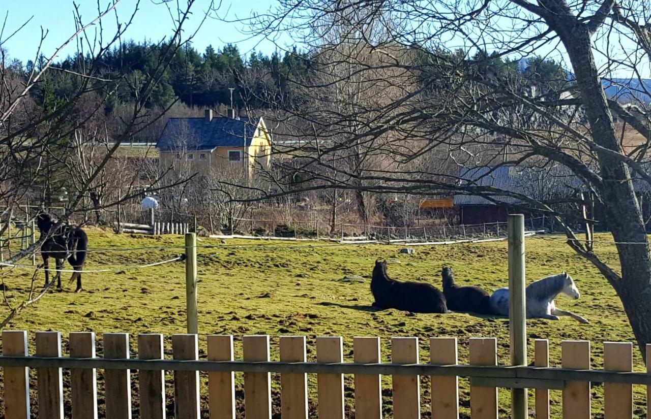 Apartmán Kjorsvik Ovre Tornes Exteriér fotografie