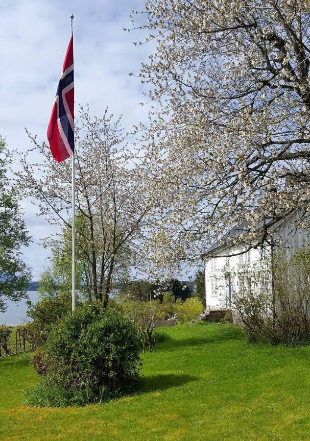 Apartmán Kjorsvik Ovre Tornes Exteriér fotografie