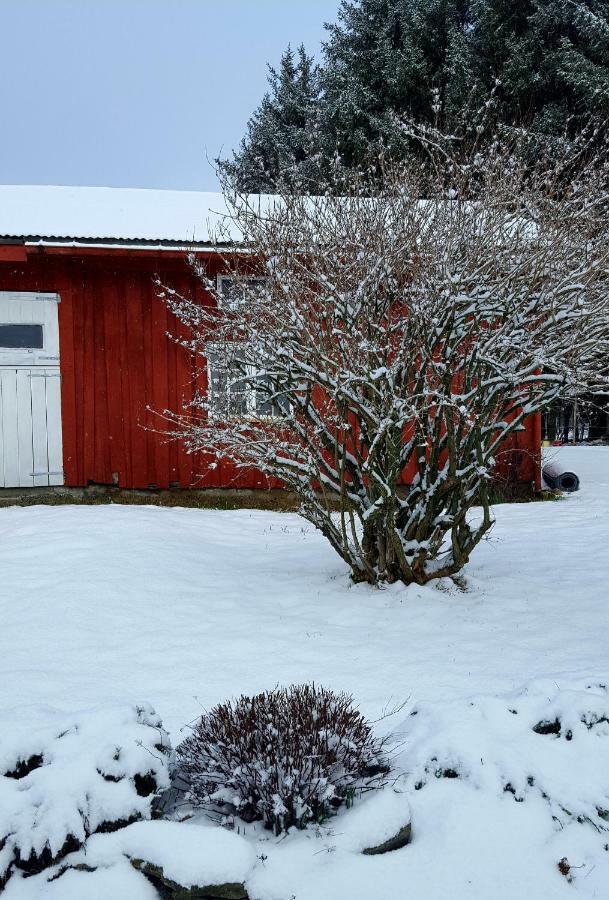 Apartmán Kjorsvik Ovre Tornes Exteriér fotografie