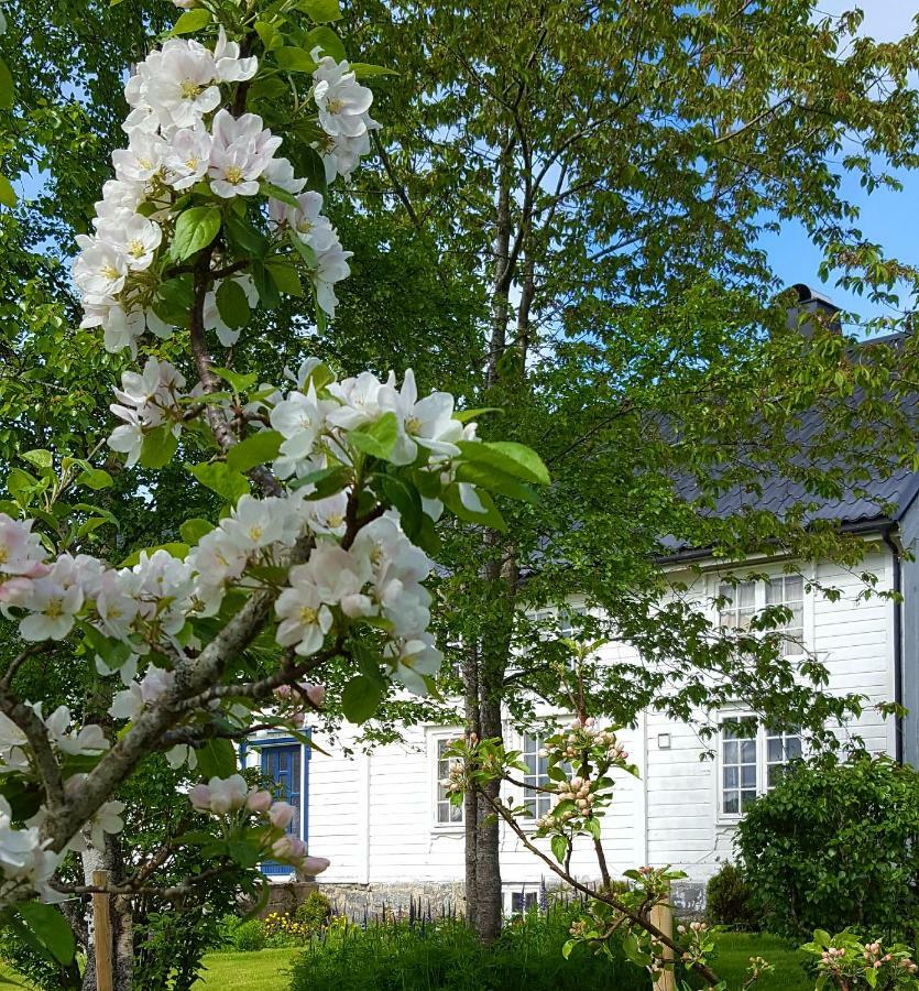 Apartmán Kjorsvik Ovre Tornes Exteriér fotografie